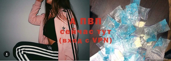 СК Верхний Тагил